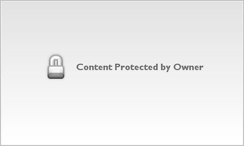 7.15.26 Favorites - Amanda L